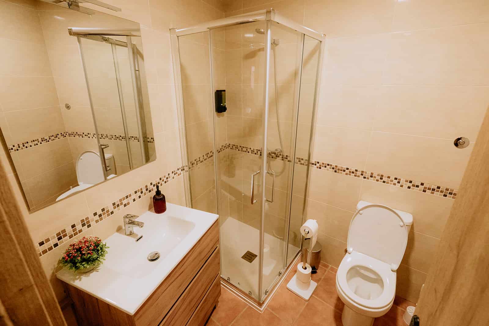 baño 2 pequeño casa rural las parras (1)